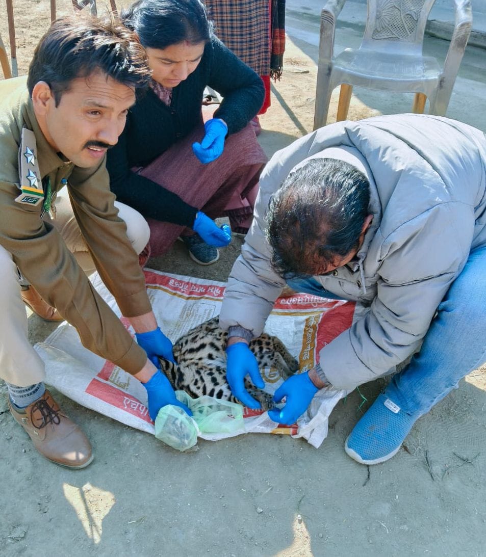Fear of leopard, parents raised demand to run bus during school hours
