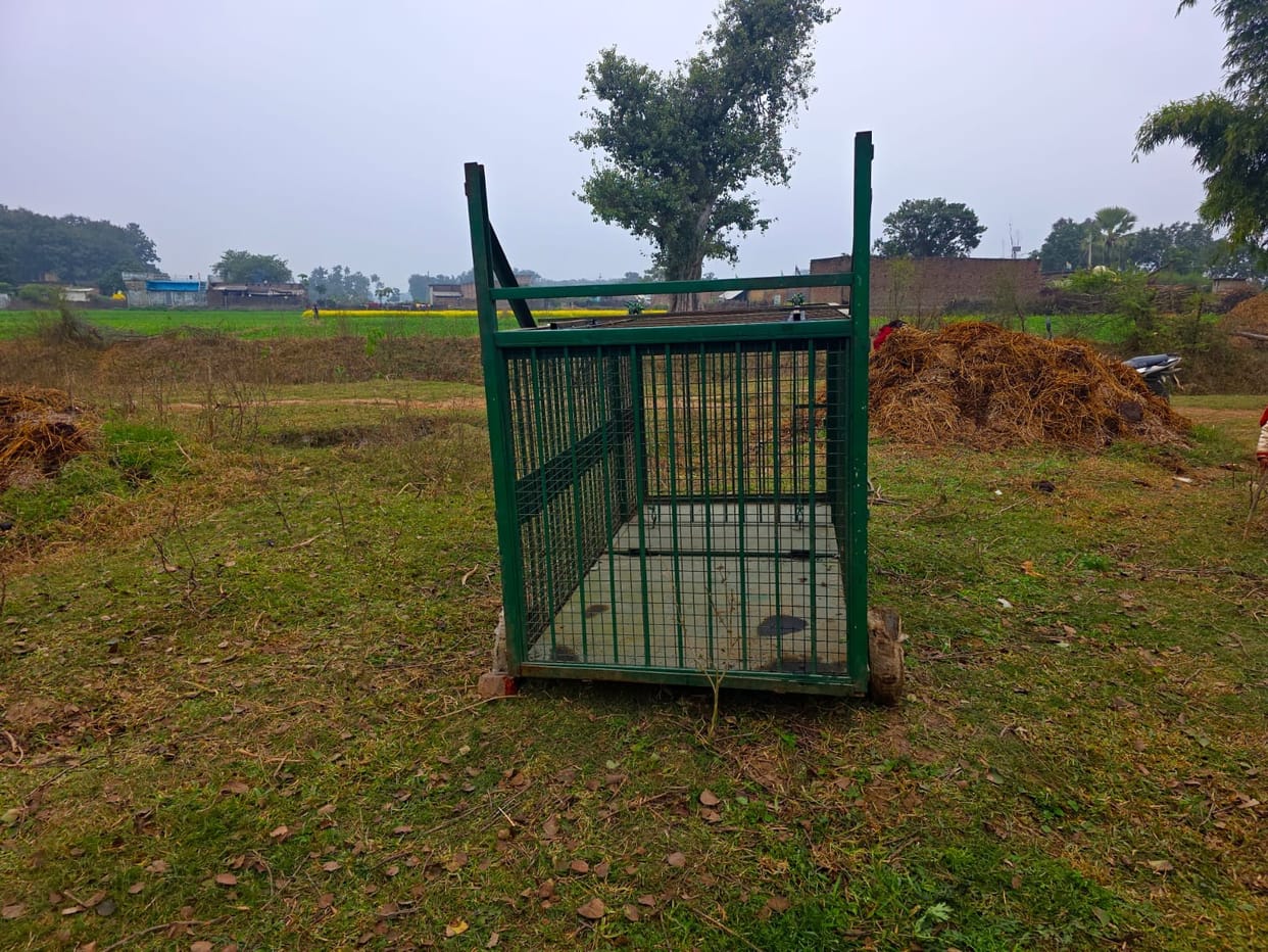 24-hour surveillance with drones, cages installed, increased patrolling