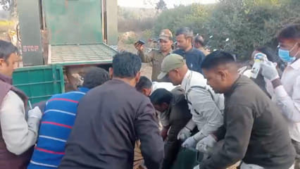 Umaria News: Tigress Rescued Safely from Chilhari Gadariya Har Village, Locals Breathe a Sigh of Relief