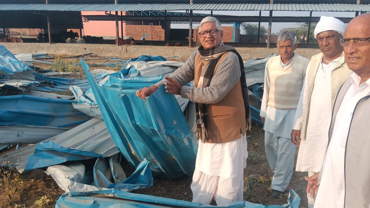 The property of the contractor and officials will be investigated in connection with the shed blowing away: Jangra