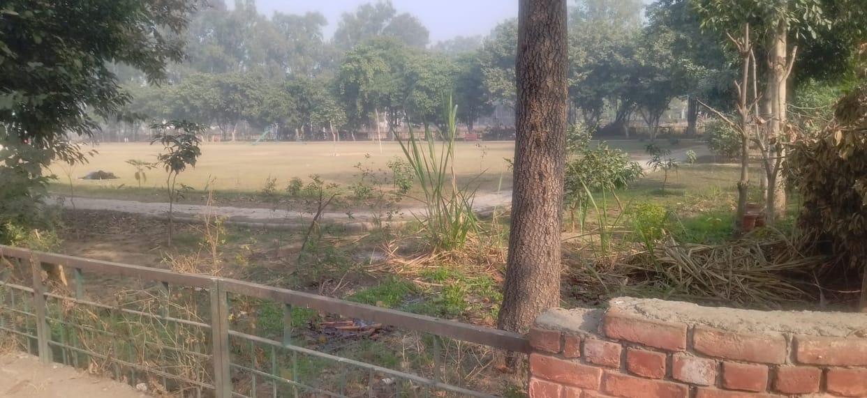 Four parks will be developed for disabled children.