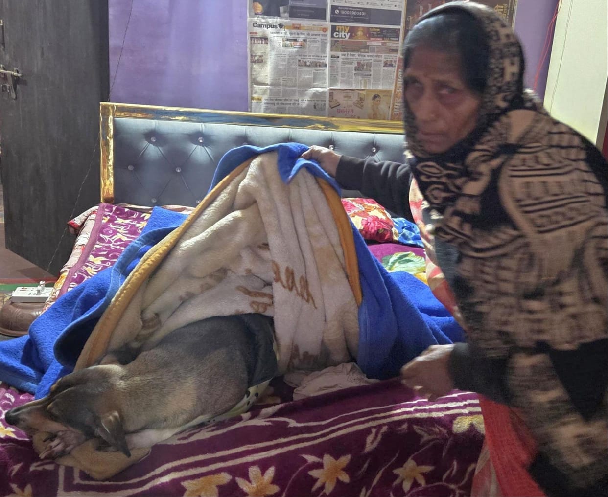 Distressed by the illness of their pet dog, two sisters committed suicide