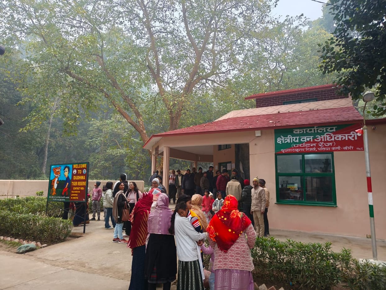 Dudhwa is ready for New Year celebrations, huts are fully booked till 31st
