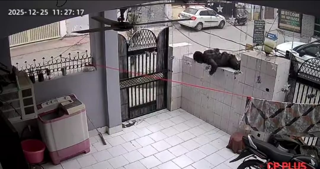 Thieves broke into a house by scaling a wall, stealing cash and jewellery worth Rs 89,000.