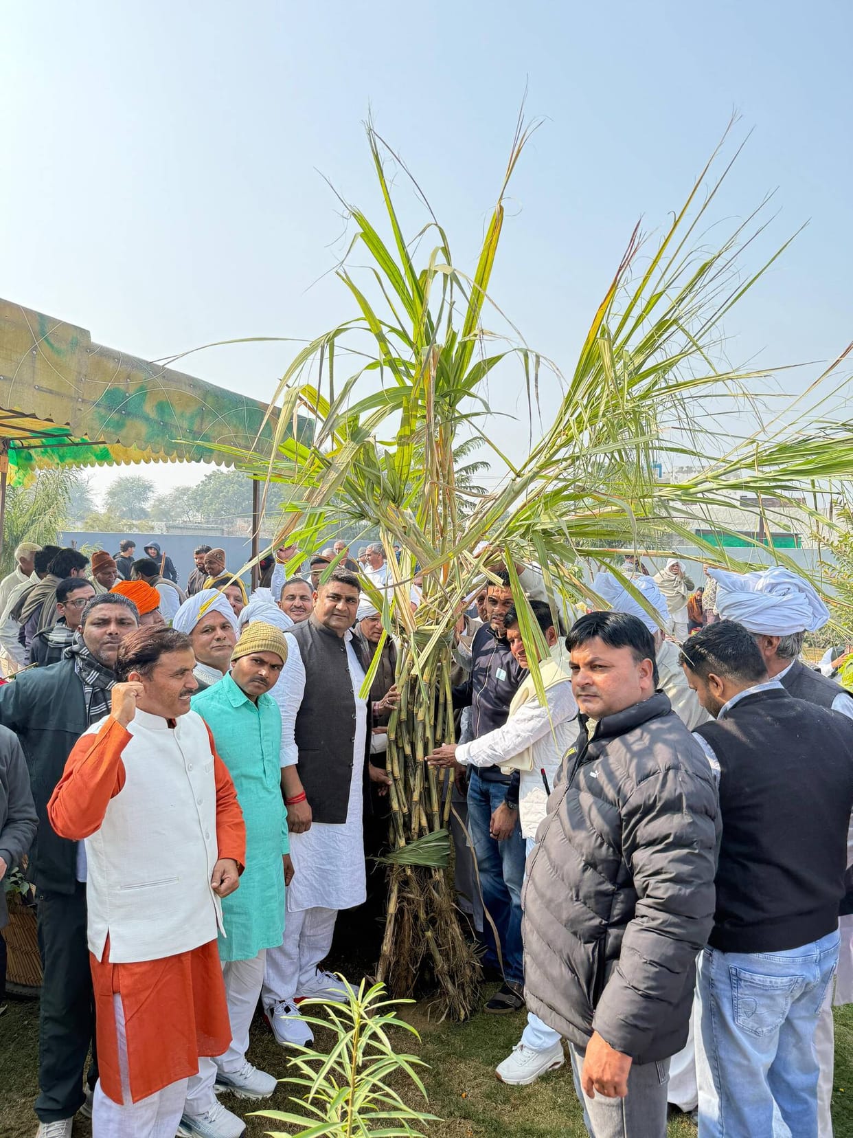 The guests were honored by being presented with sugarcane.
