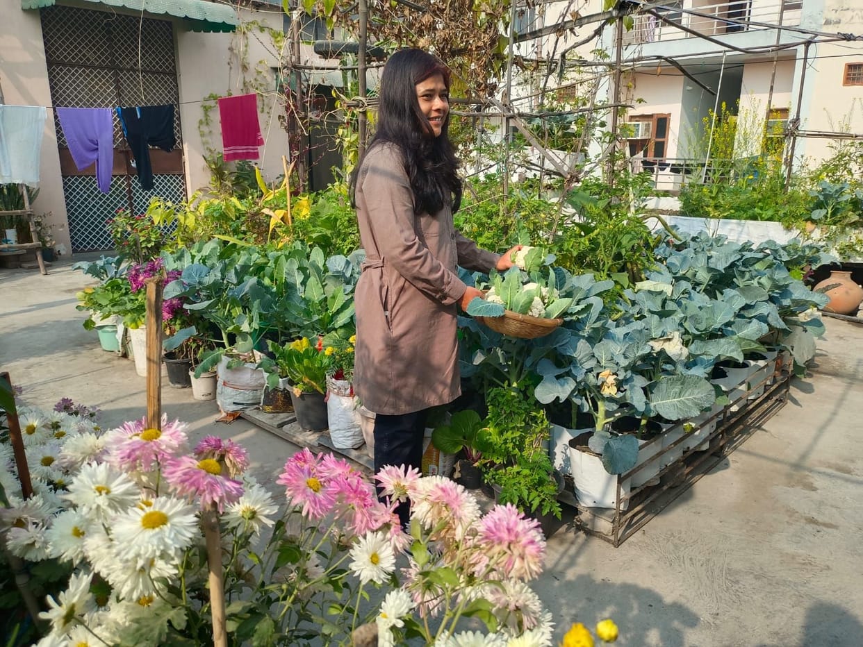 The scent from the rooftop garden filled Munmun's sky.