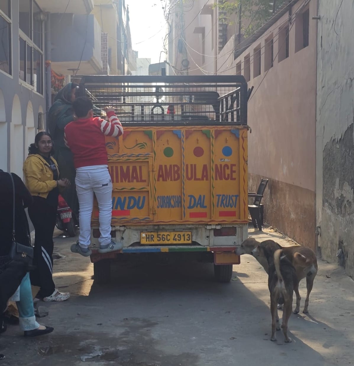 Animal lovers protest against the sterilization of dogs, saying it is wrong to take the dogs to Rohtak.