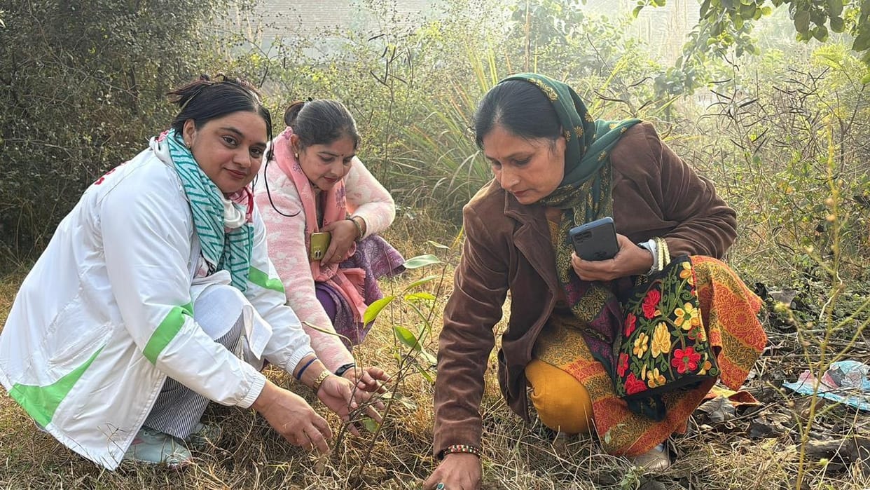 The mini-forest will now be known by Ratan Tata's name.