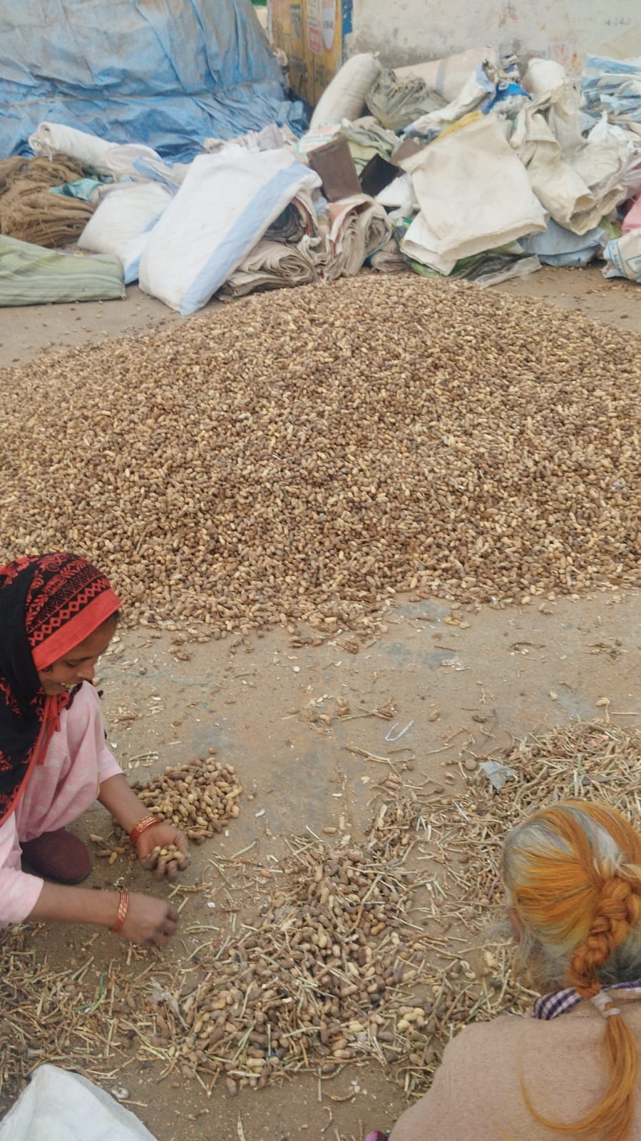 The sixth shed will be constructed at the new grain market at a cost of two crore rupees, and is targeted to be completed by April.