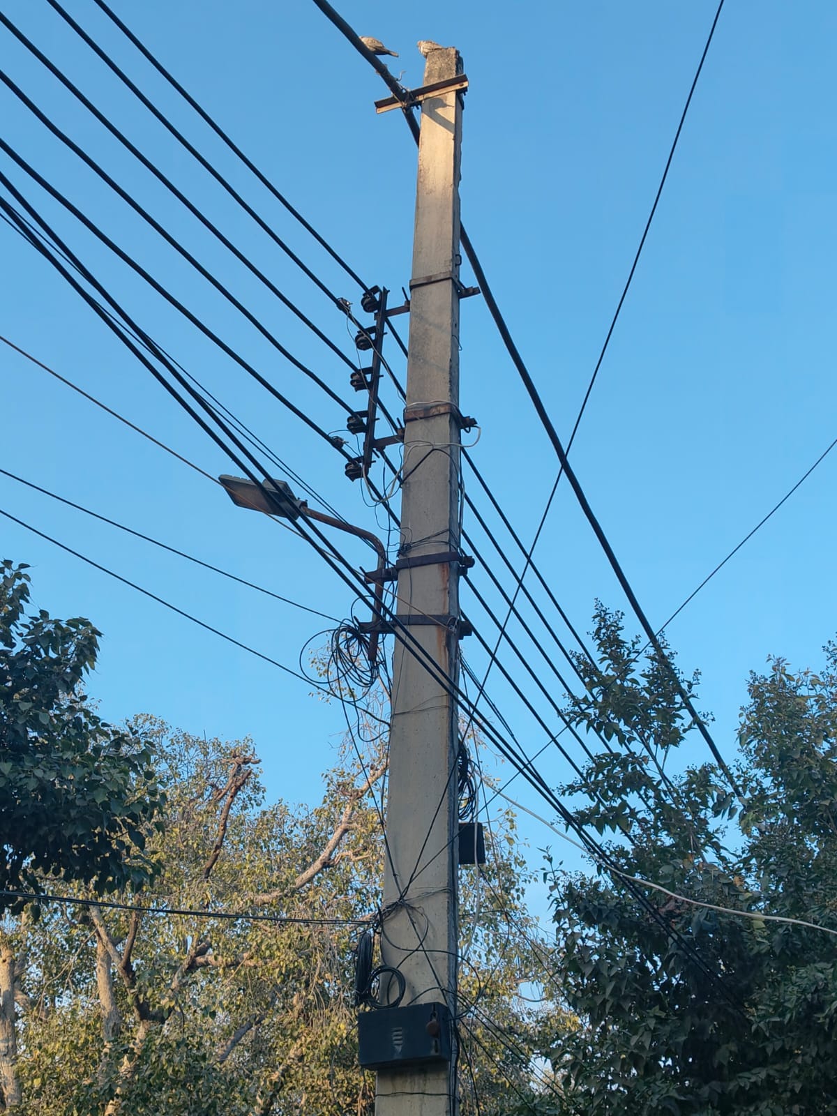 Underground cable project cancelled, insulated wires to be installed
