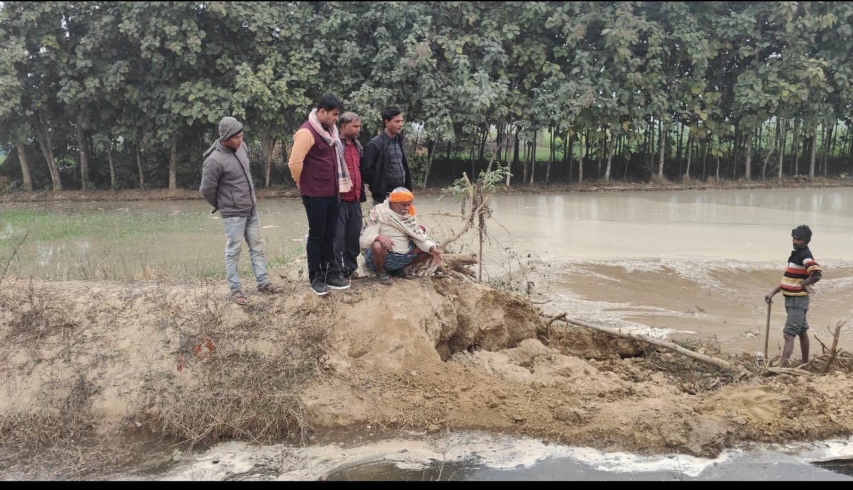 Crops are being submerged in Semariyawan due to excessive water being released into the canals.