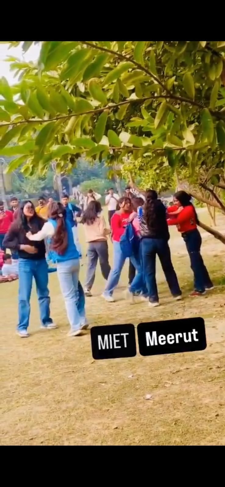 Girls were again kicked and punched, and were dragged to the ground by their hair.