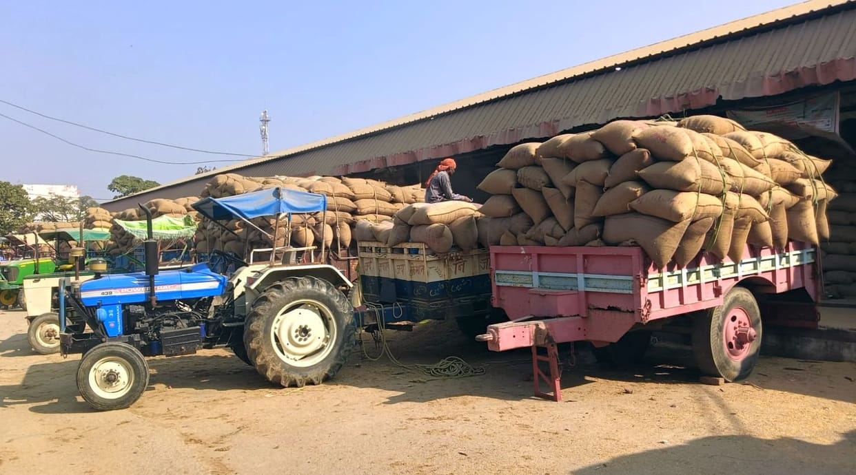 Suspicion of fraud at Asandh and Kunjpura markets Paddy worth Rs 46.04 crore sold on paper