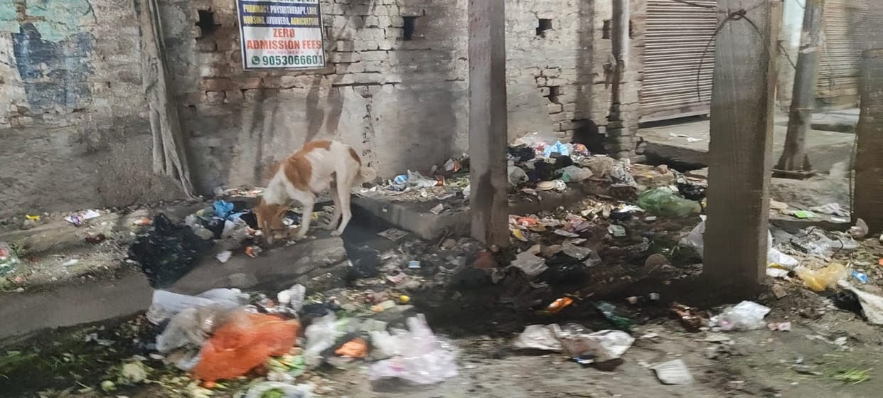 A pile of garbage has accumulated in the band market in the city.