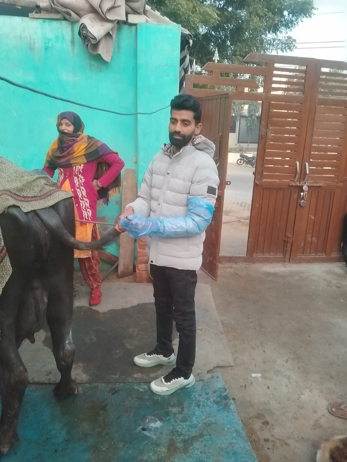The menace of stray dogs is increasing...a buffalo's tail was cut off, and there are no vaccines available at the hospital either.