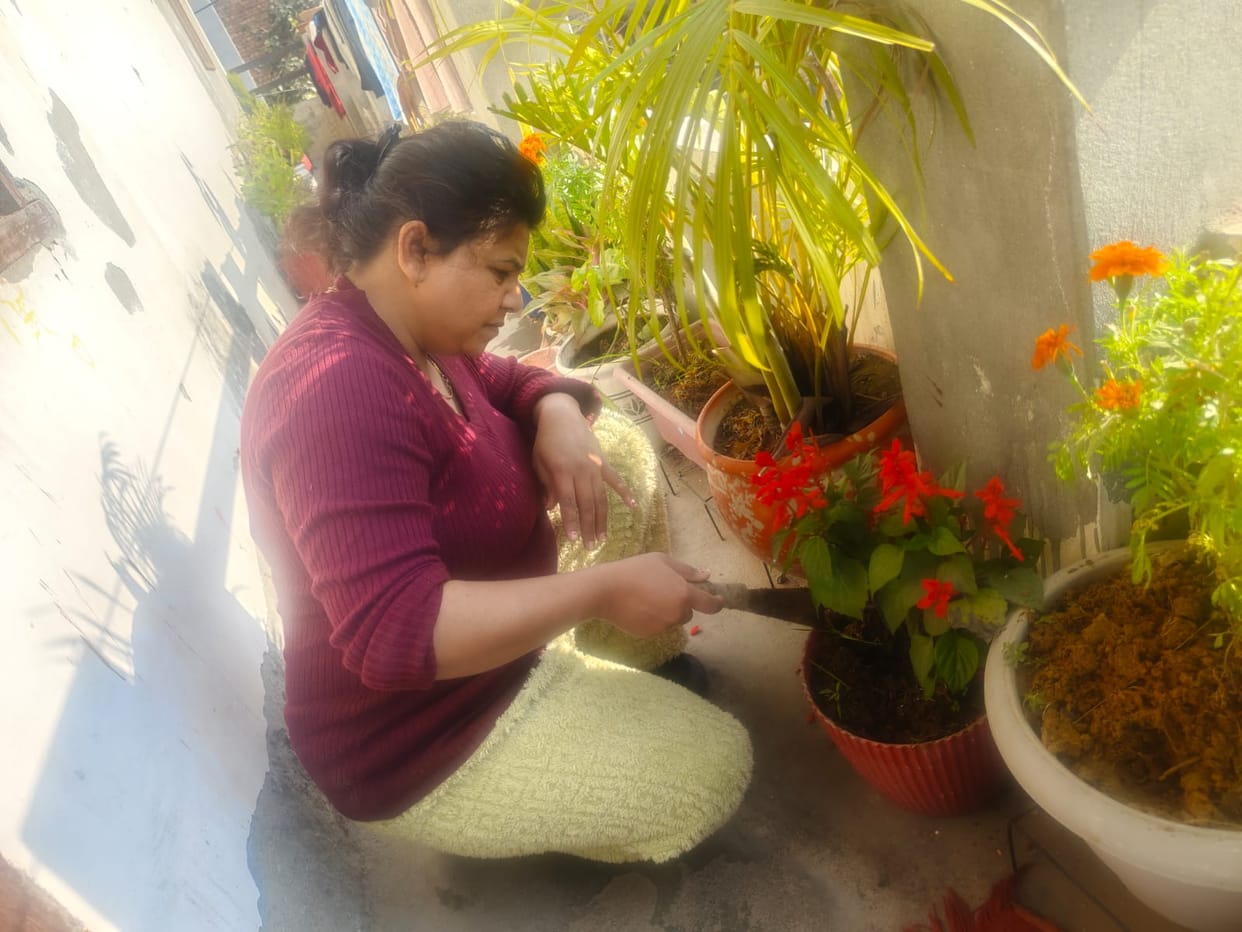 Anju's passion for planting has transformed her home into a beautiful garden.