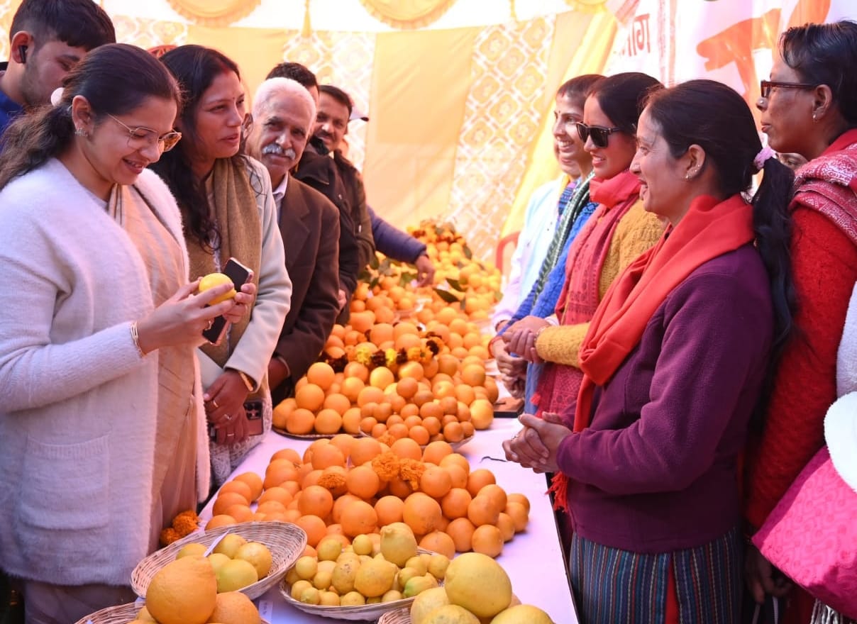 economy of farmer stronger due to increased production