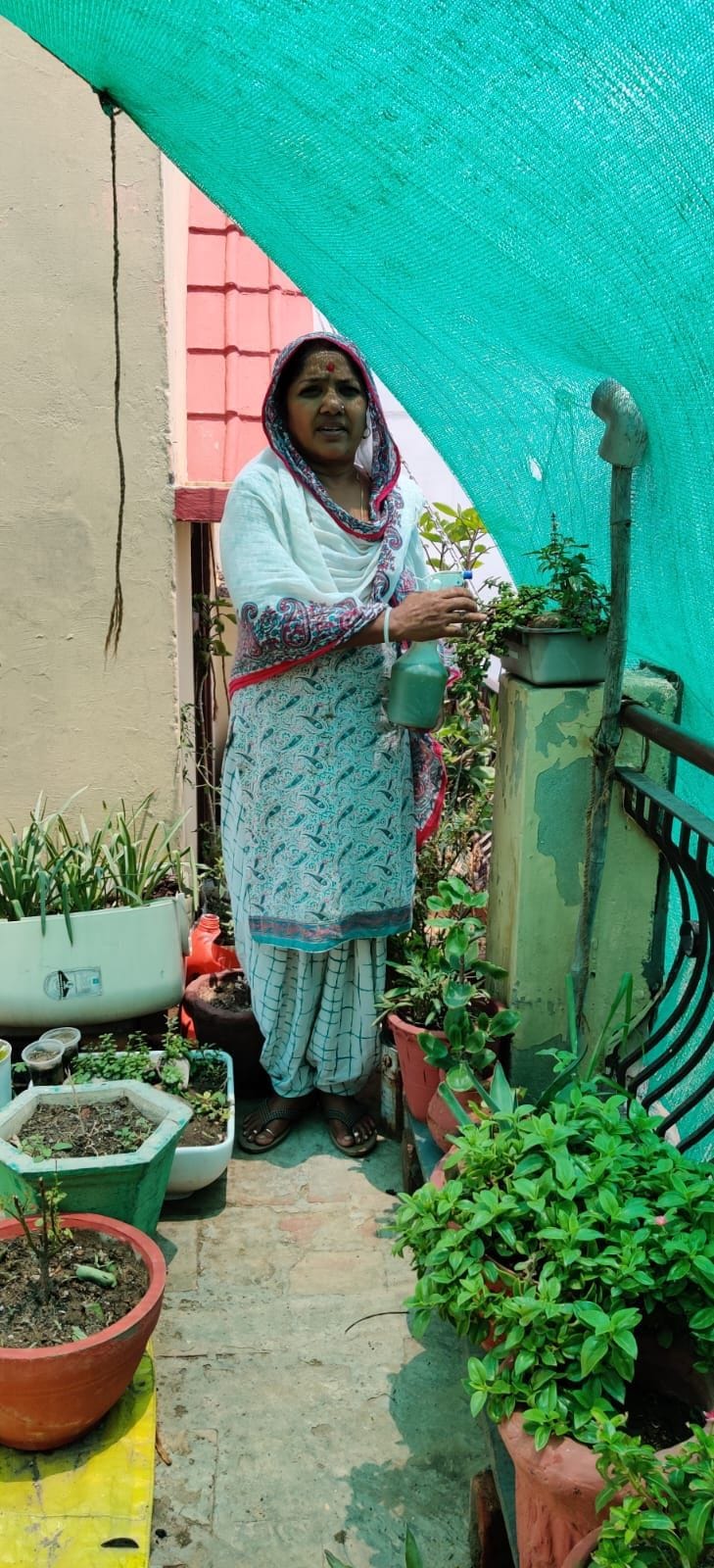 My garden: A world of fragrance and greenery blooming on the rooftop.