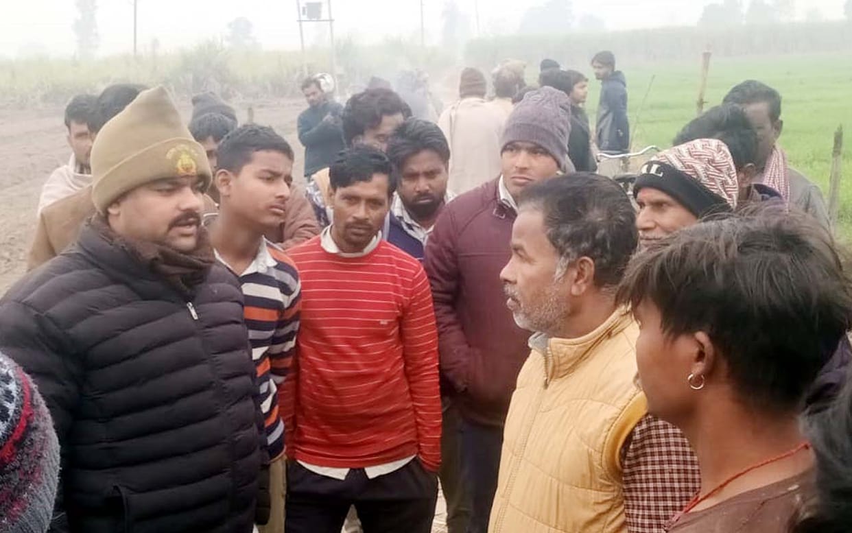 Tigers and leopards are causing panic in five villages; a cow was killed in Rujha.
