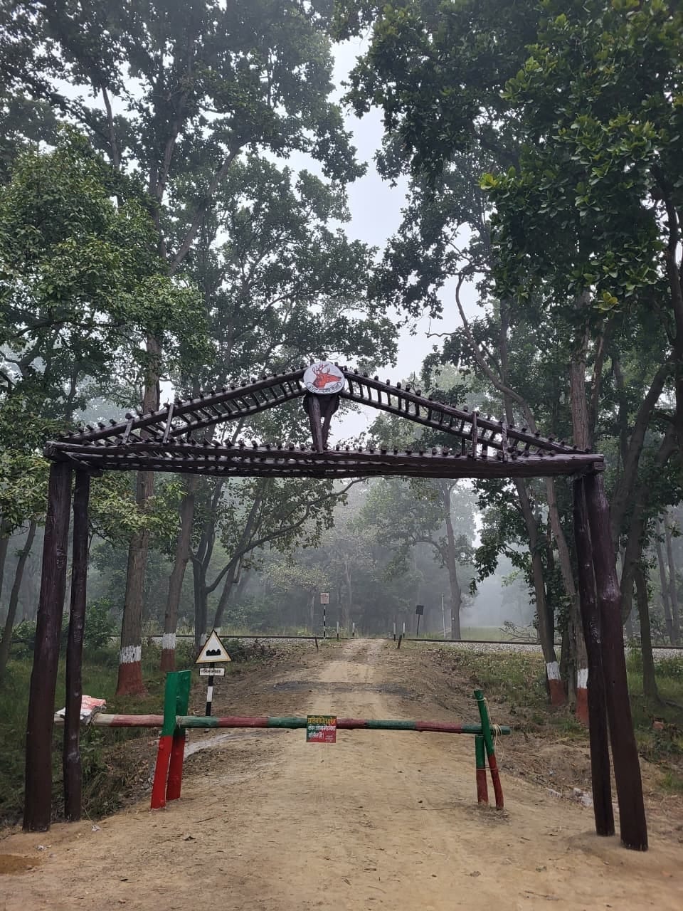 The Prime Minister will virtually inaugurate the road number 23 of Kishanpur Sanctuary today