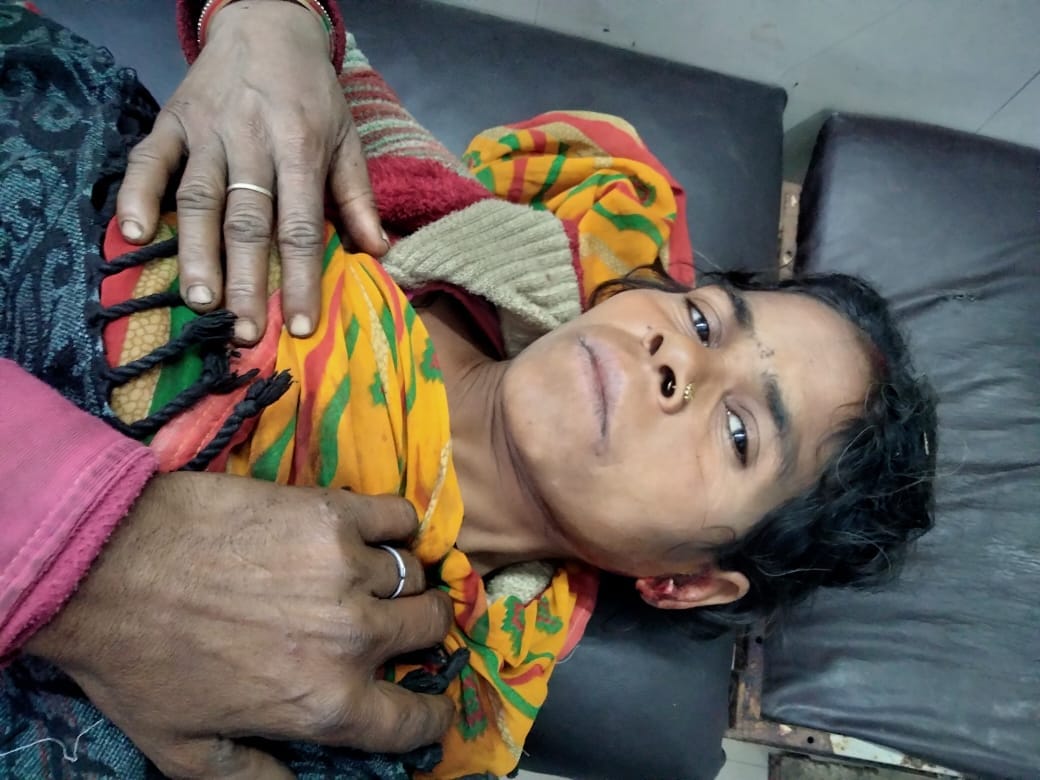 Woman seriously injured in tiger attack