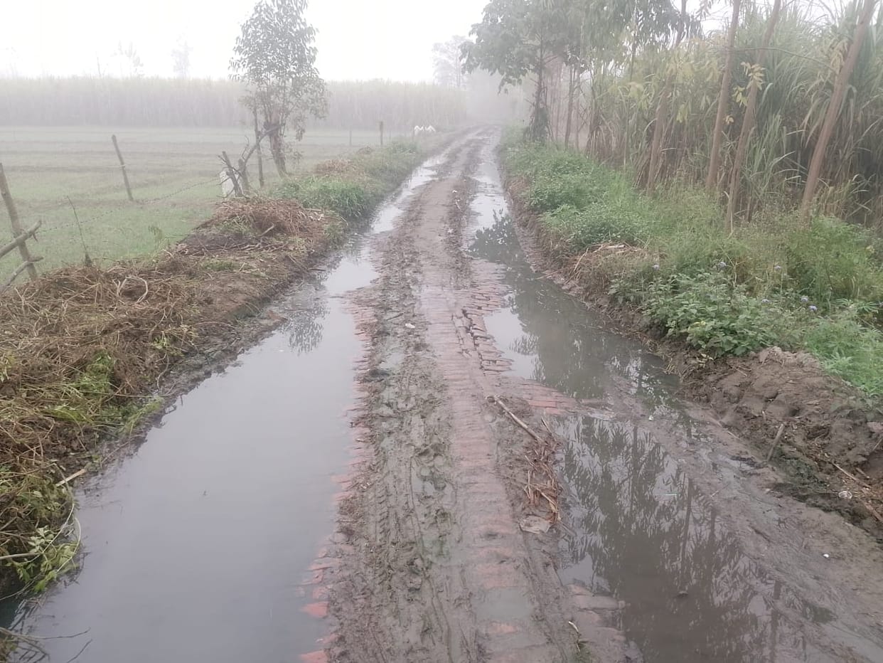 Traffic between two villages disrupted due to waterlogging