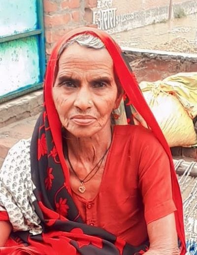 Elderly woman, scared by a monkey's growl, falls from roof and dies
