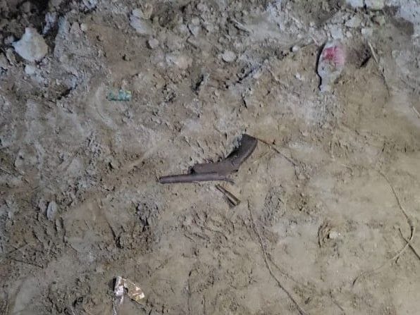 Animal smuggler shot and injured in encounter