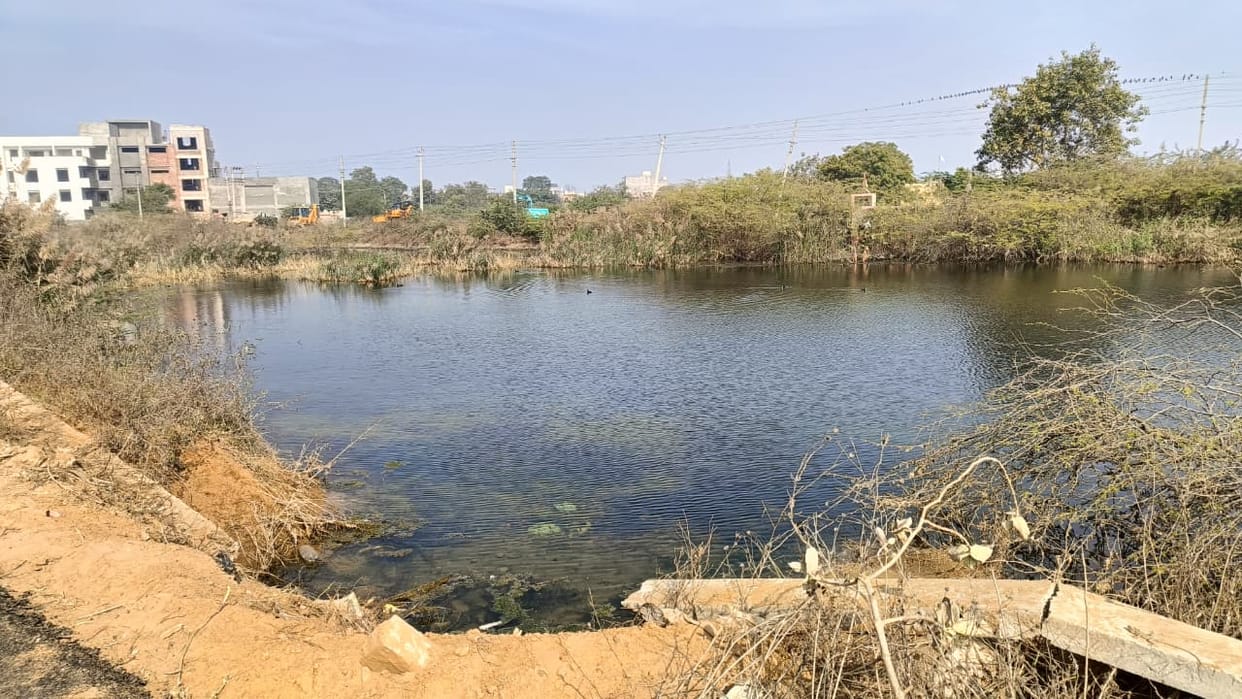 Lakhs of litres of drinking water is being wasted in HSVP Sector 8.