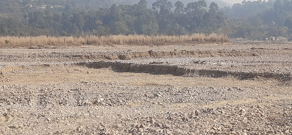 Mining has destroyed Dhatwal's rice fields, leaving hundreds of canals of land barren.