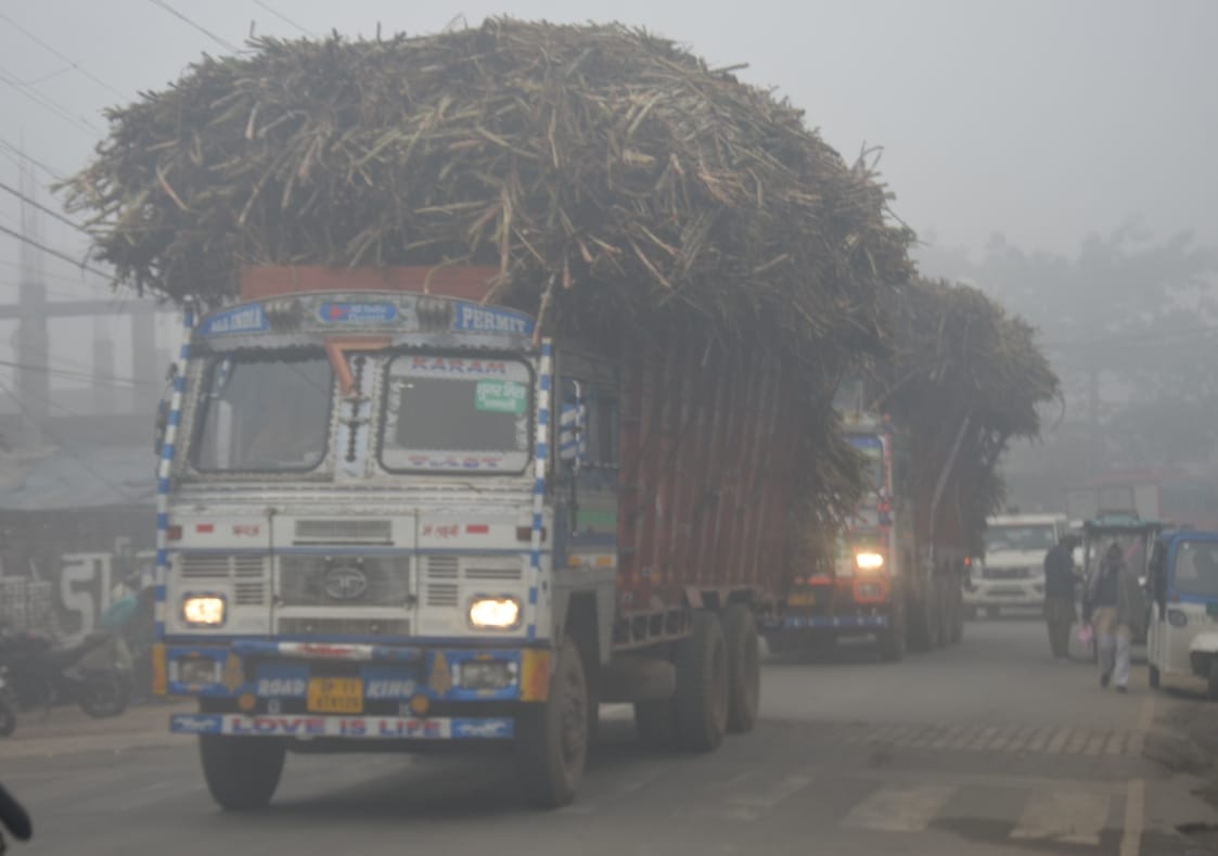 Dense fog enveloped the district, and the temperature dropped by two degrees Celsius.
