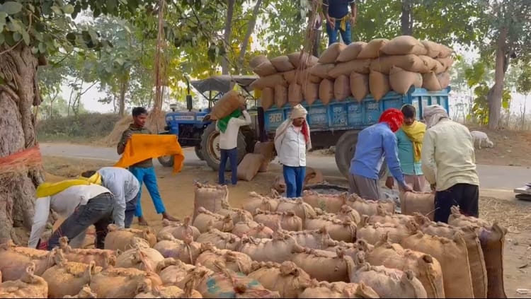 Bihar News: धान अधिप्राप्ति के लक्ष्य में कटौती से किसानों की बढ़ी मुसीबत, पैक्स की मनमानी से किसान परेशान