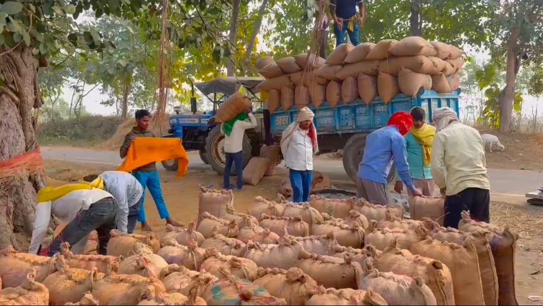 farmers worried about paddy procurement, pacs news, cooperative department news, rohtas bihar news