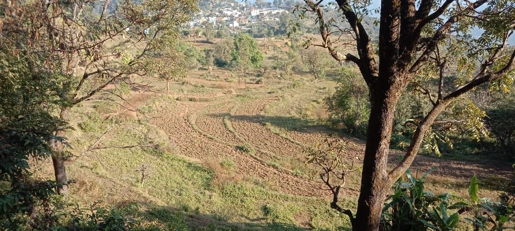 Moisture disappears from the fields, crops dry up