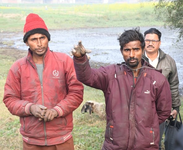 The death of 71 sheep has left a family in trouble.