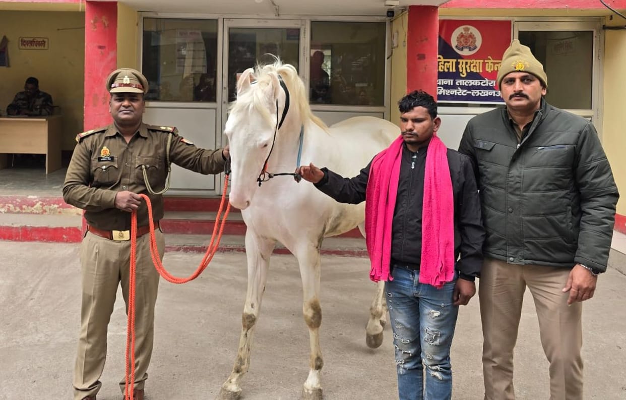 Iranian horse stolen from Karbala found in Unnao, accused arrested
