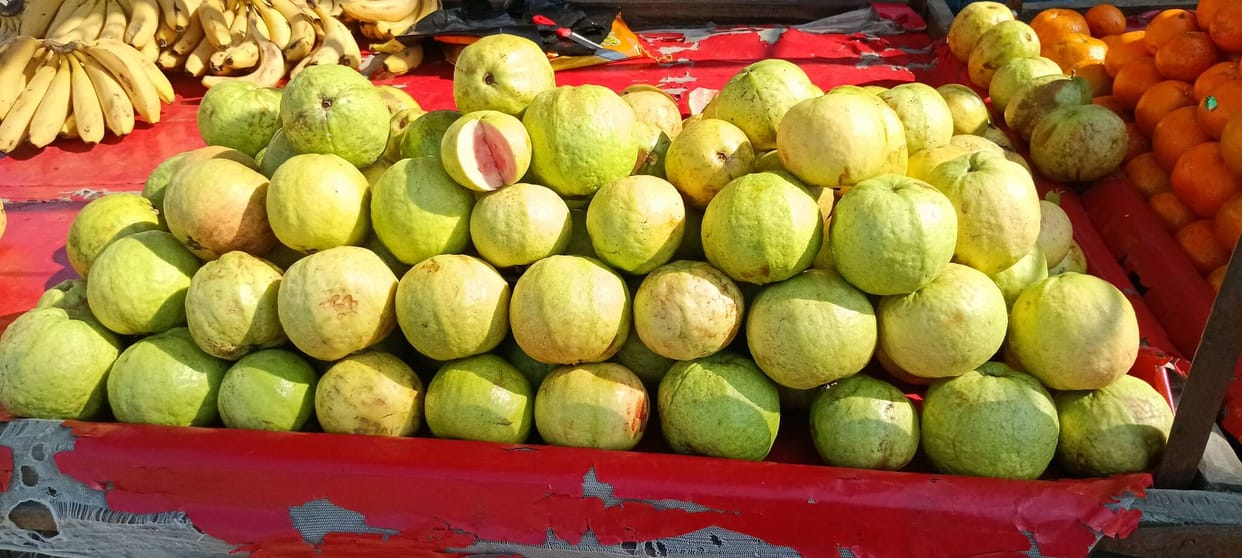 25 quintals of guava are reaching the vegetable market daily from Rajasthan and Maharashtra.