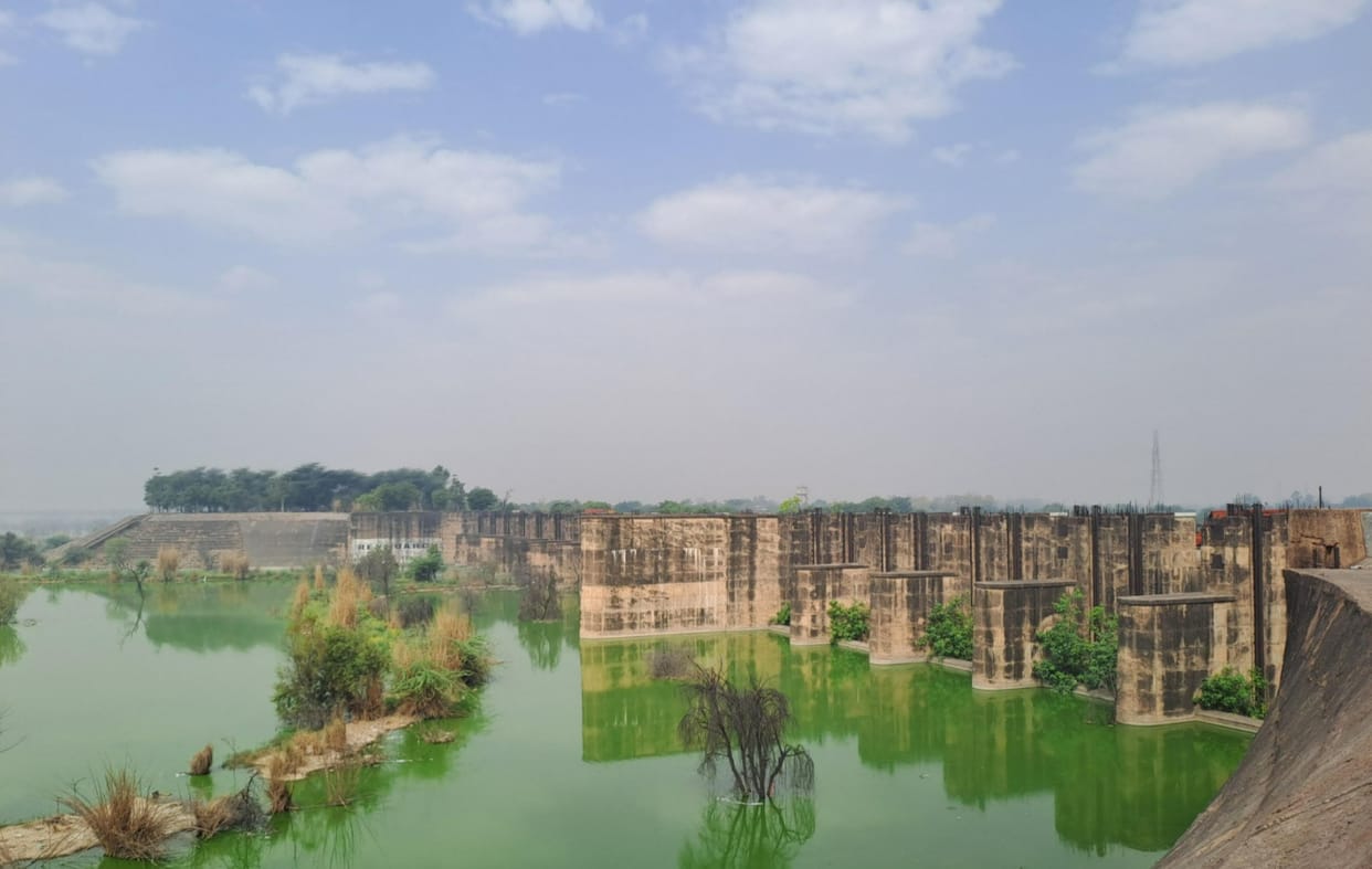 Highly discussed decisions: The court had said that calling the Sahibi River Najafgarh drain or nullah is an insult.