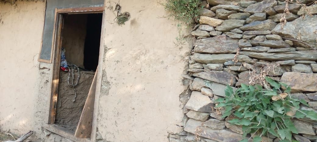 Terror of bears in Rampur and Nankhari area