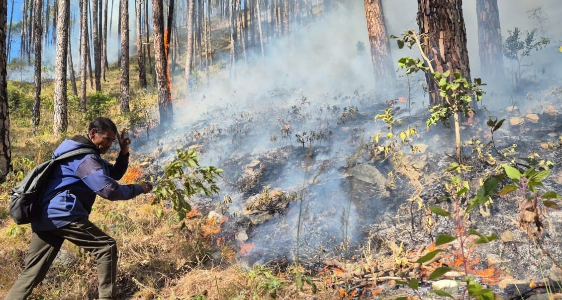 The forest fire in Kagbhushandi area has become fierce, haze spreads in Jyotirmath