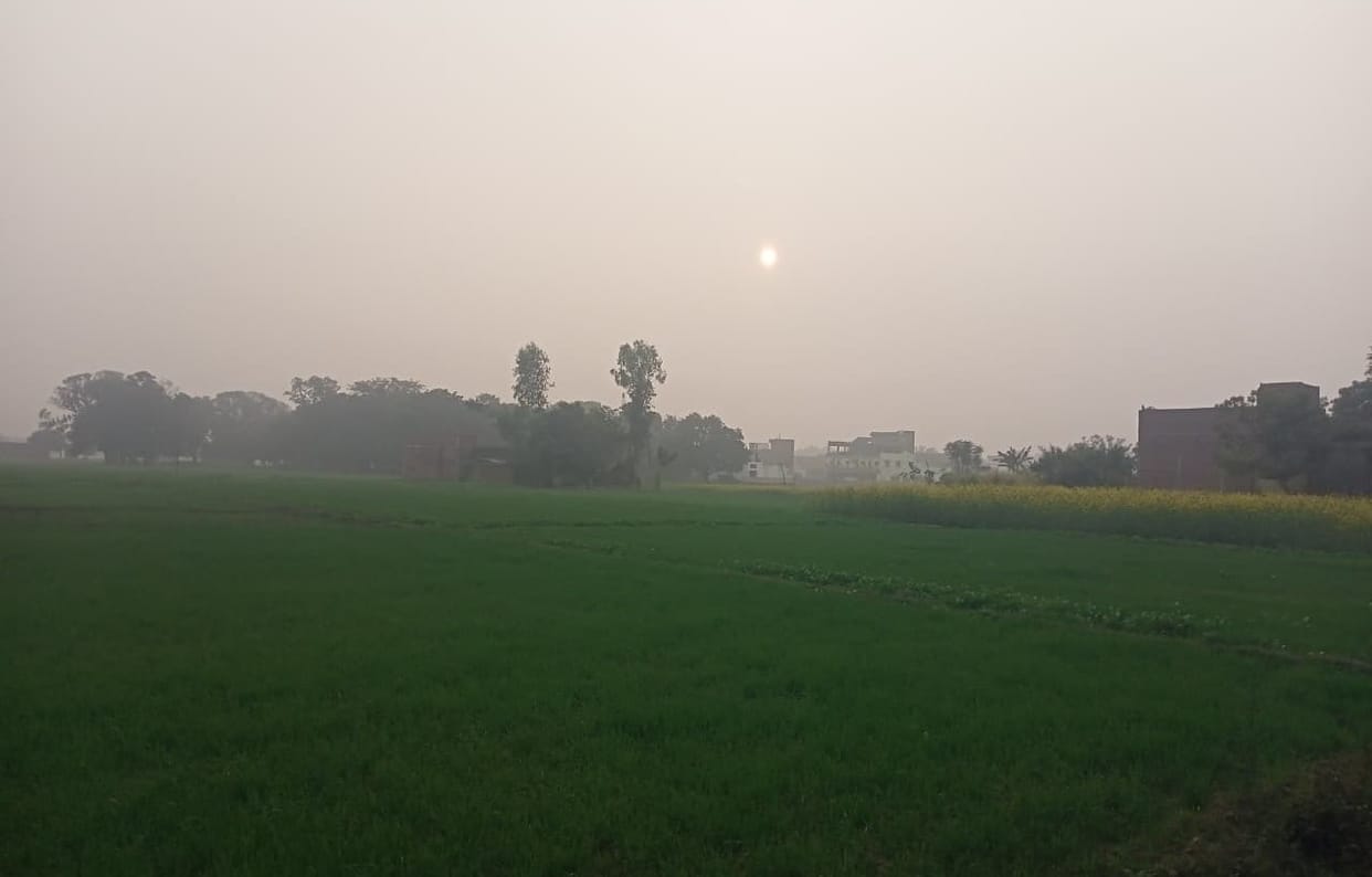 Monday was the coldest day of December, with the maximum temperature dropping by five degrees in seven days.