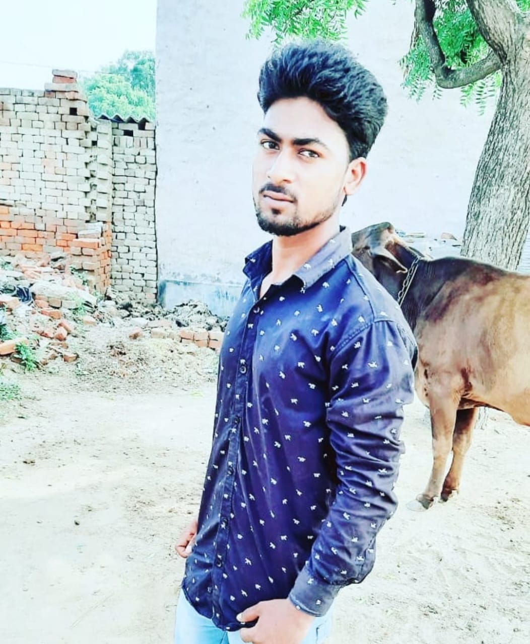 One brother died, the other seriously in separate road accidents