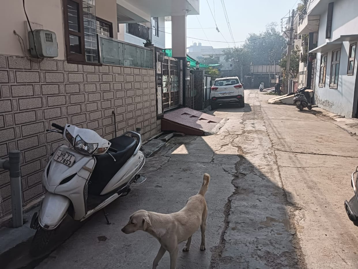 Municipal council to use JCB to remove illegal encroachment, warns of ramp removal within 7 days