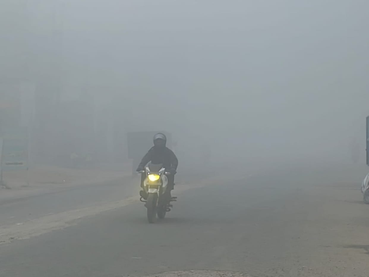 Fog disrupts normal life, trains get delayed