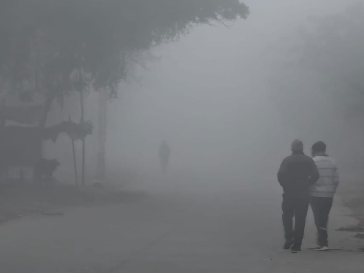 Fog surrounded the area since morning, melting and cold wave had an impact.