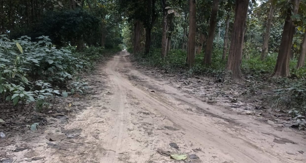 Bike ambulance will transport patients to the hospital through difficult roads