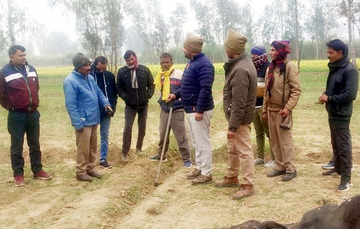 After escaping from the enclosure, the tiger killed a cow in Kadaiya, and a calf was injured.