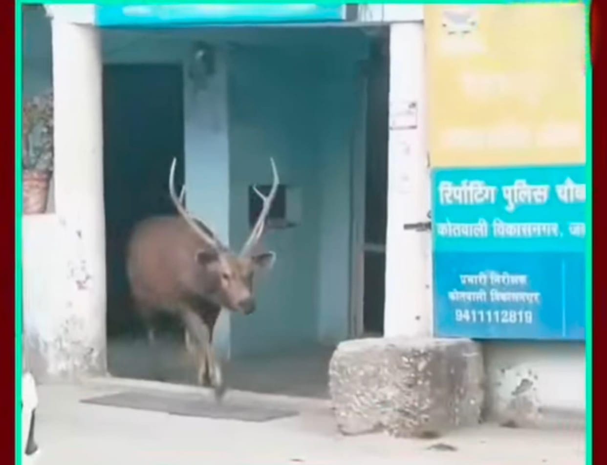 samber enter into police choky kulhaal