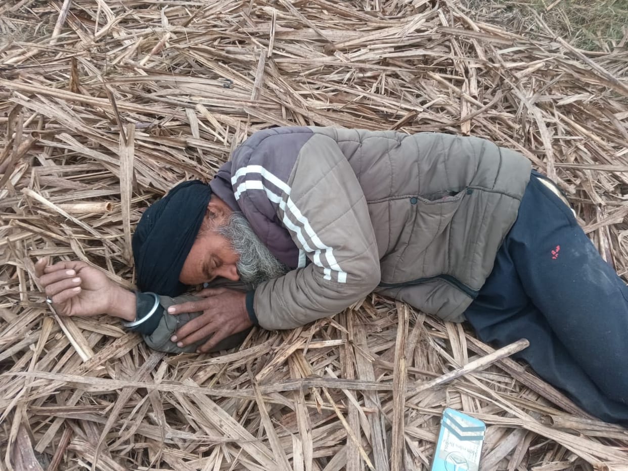 Elephant attacks villager, wraps him in trunk and throws him away
