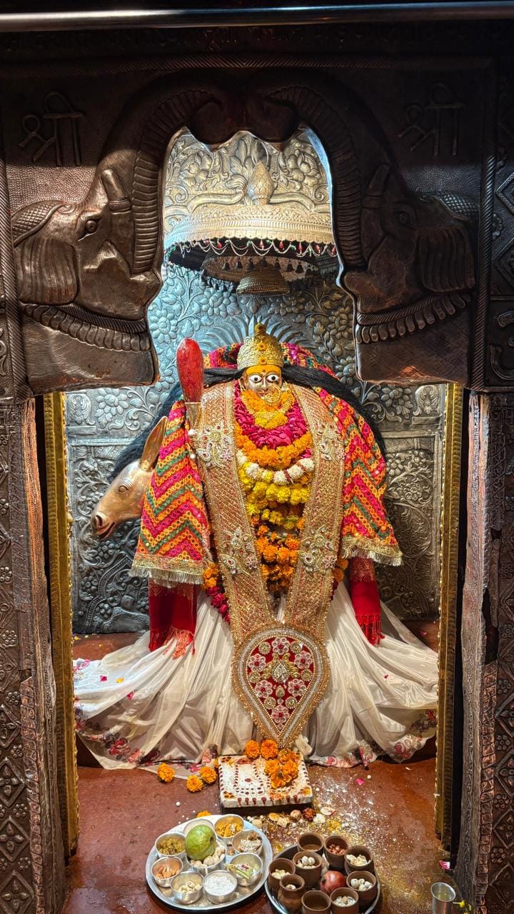 Mother Shitala's court will be decorated with seven quintals of flowers on New Year